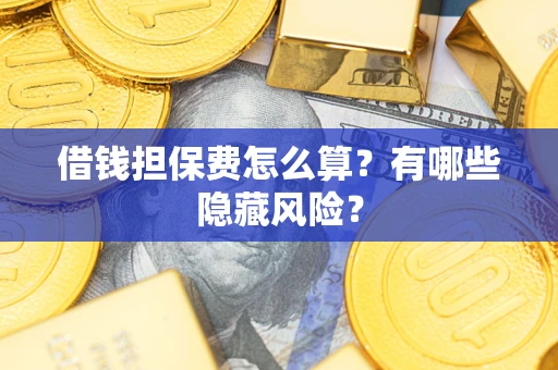 武汉借钱担保费怎么算？有哪些隐藏风险？