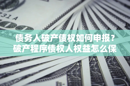 武汉债务人破产债权如何申报？破产程序债权人权益怎么保障？