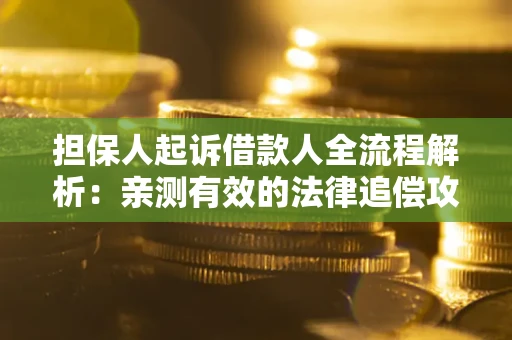 武汉担保人起诉借款人全流程解析：亲测有效的法律追偿攻略