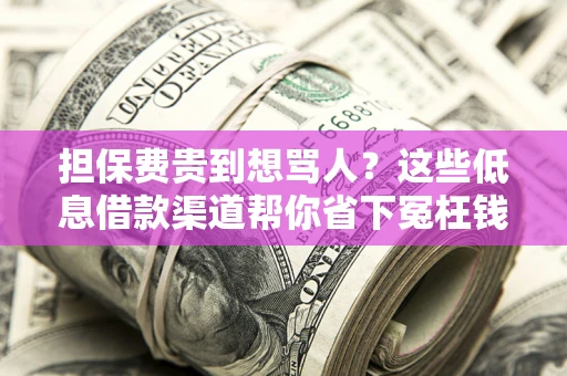 武汉担保费贵到想骂人？这些低息借款渠道帮你省下冤枉钱