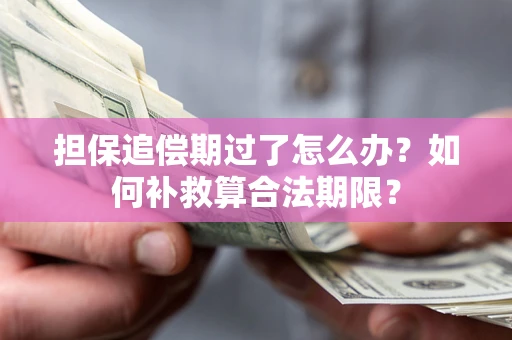 武汉担保追偿期过了怎么办？如何补救算合法期限？