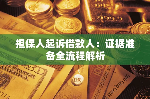 武汉担保人起诉借款人：证据准备全流程解析