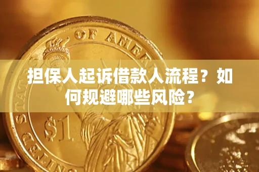 武汉担保人起诉借款人流程？如何规避哪些风险？