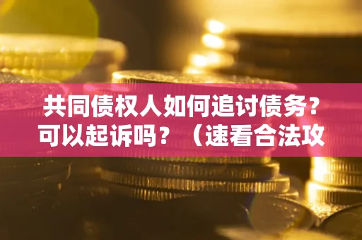 武汉共同债权人如何追讨债务？可以起诉吗？（速看合法攻略）