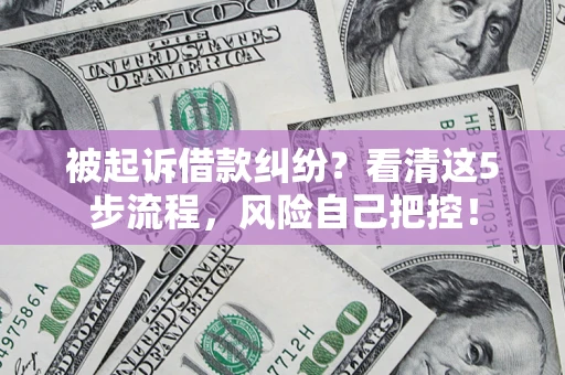 武汉被起诉借款纠纷？看清这5步流程，风险自己把控！