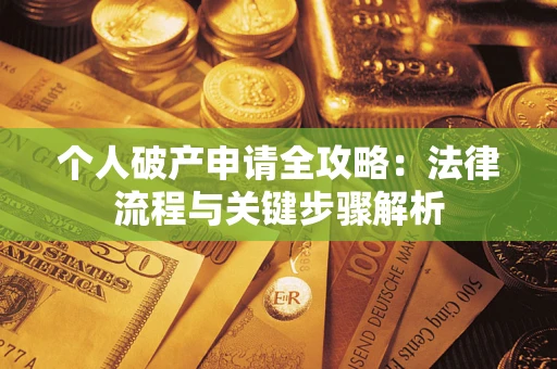 武汉个人破产申请全攻略：法律流程与关键步骤解析