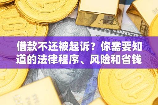武汉借款不还被起诉？你需要知道的法律程序、风险和省钱技巧