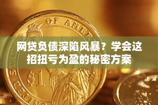 武汉网贷负债深陷风暴？学会这招扭亏为盈的秘密方案